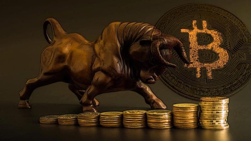 Bridge Season: Why Altcoins Avalanche, FTM, Harmony, Solana Exploded In Price