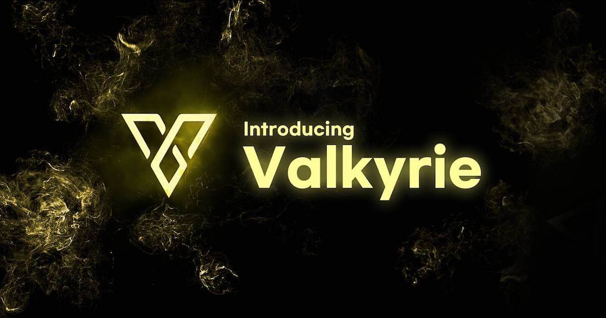 Valkyrie Protocol: Earning Rewards From Social Referral Marketing