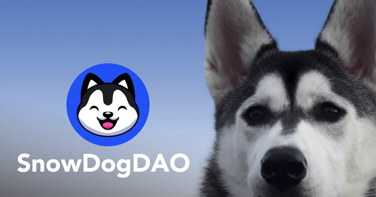 SnowDog ($SDOG): How I May Have Been Part Of The Biggest Rugpull In Avalanche History