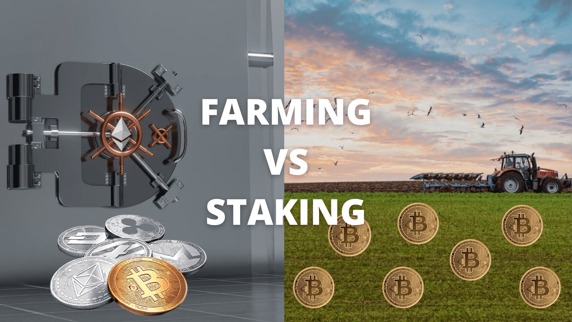 What Are The Differences Between Staking And Farming? Here's What You Should Know