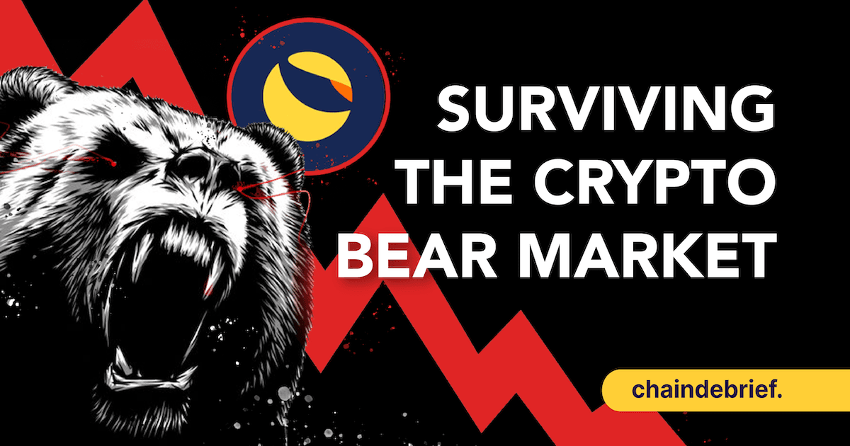 No Coin Is Too Big To Fail: How To Survive The Crypto Bear Market In 2022