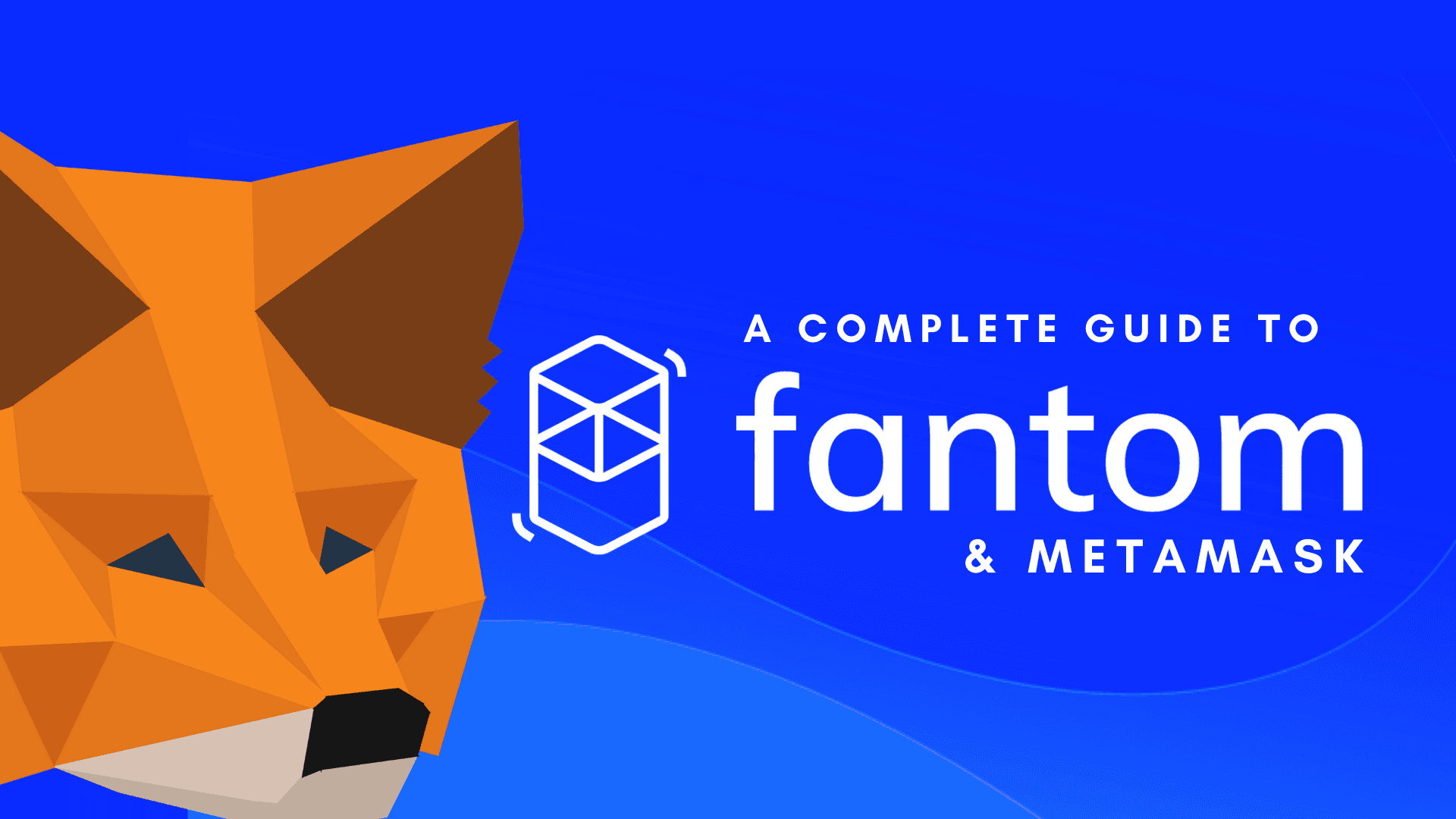 A Complete Guide To Setting Up MetaMask For The Fantom Network And How to Import Tokens