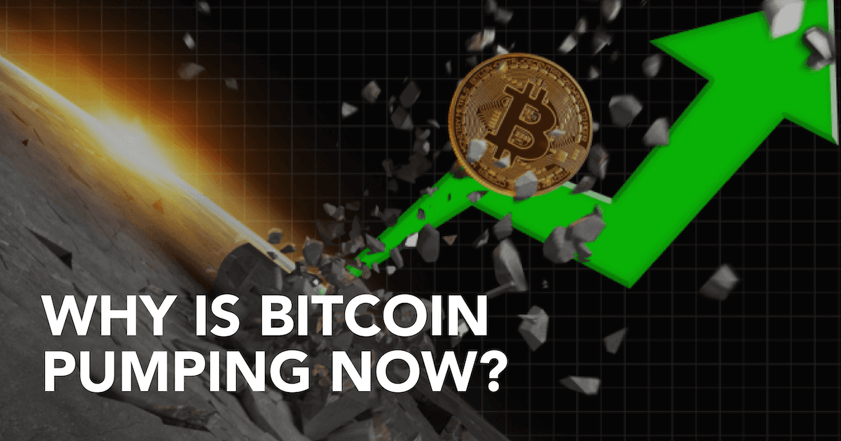 Bitcoin Prices Rise Above US$45,000: What's Causing The BTC Pump?