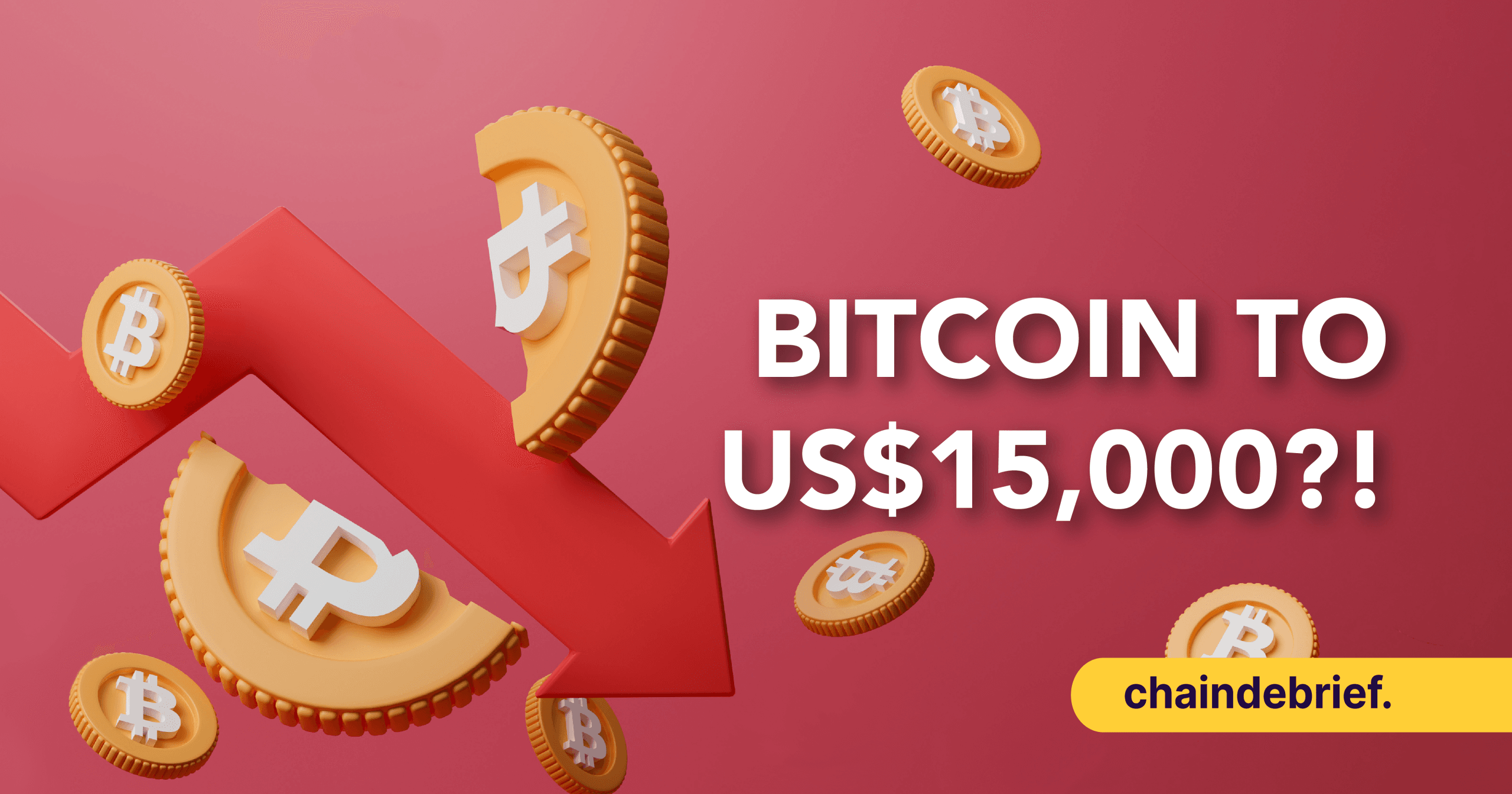 Bitcoin Fell More Than 50% In The Past Few Months: How Much Lower Can $BTC's Price Go?