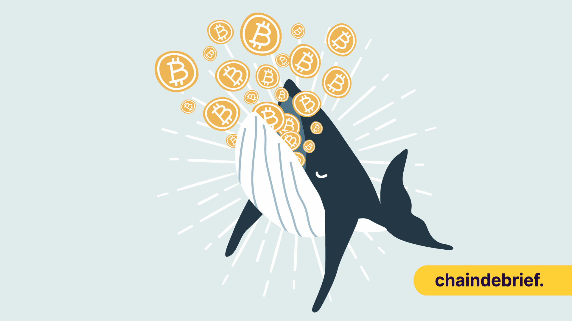 Here's What Whales Are Investing With Their Multi-Million Crypto Portfolios