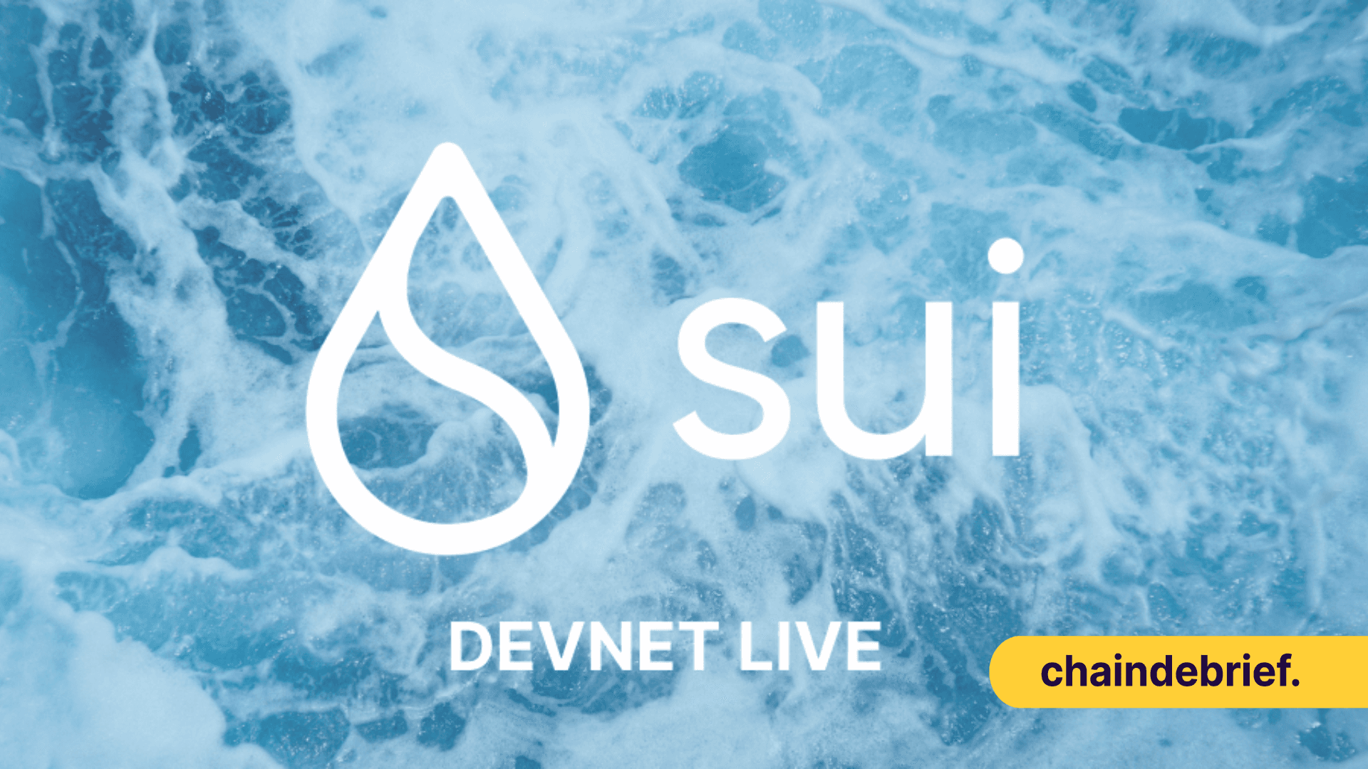 Introducing Sui - The Next Gen Layer 1 Built By Former Meta Developers