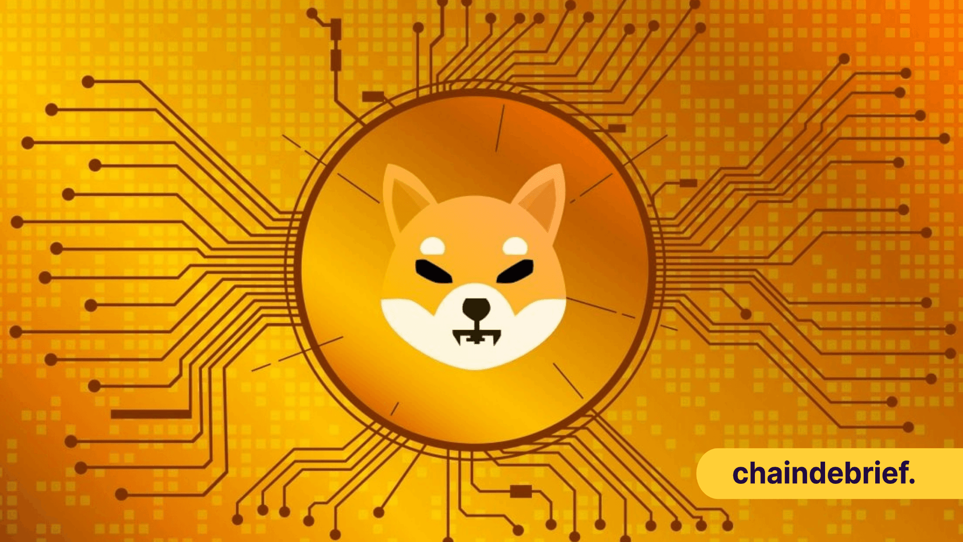 Shiba Inu Announces $SHI stablecoin, Reward Tokens, and Metaverse Collectibles
