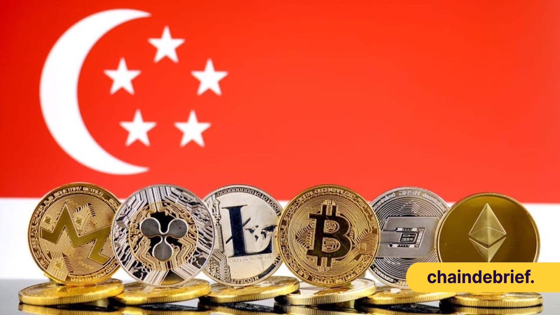 Explaining Crypto To Your Friends And Family - In Singlish