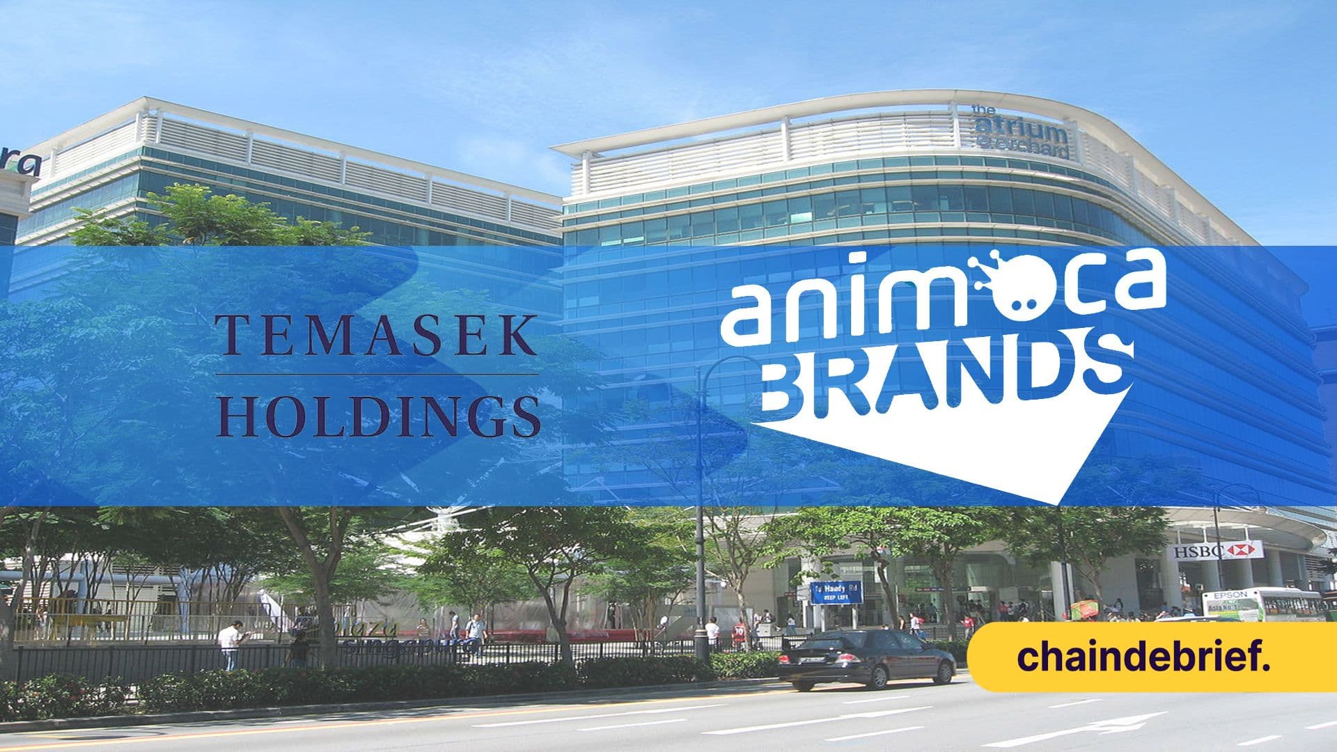 Temasek Leads $100M Funding Round For Metaverse Company Animoca Brands