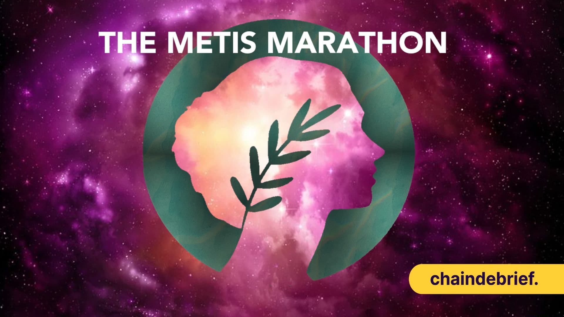 Metis Up 340% - Why This Layer 2 Is Defying The Bear