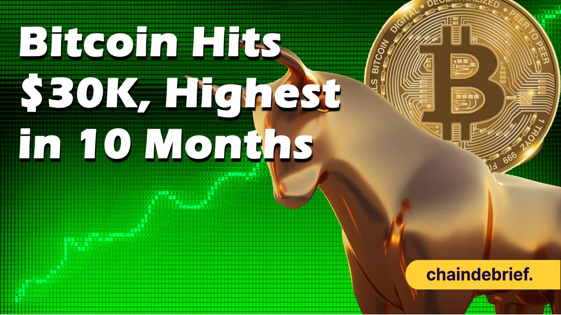Bitcoin Hits Yearly High of US$30,399 - Here's Why The Crypto Markets are Up This Week