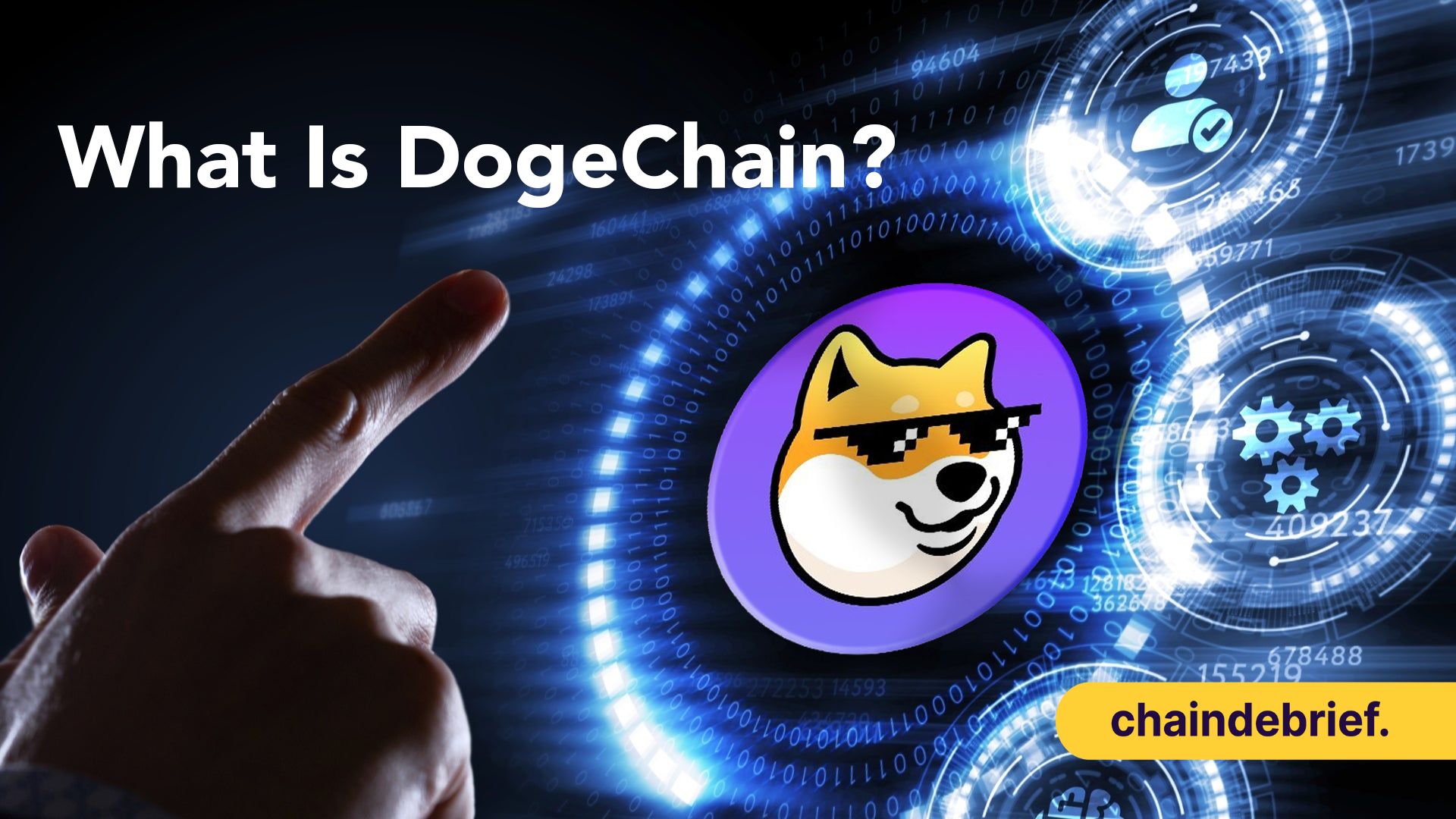 dogechain