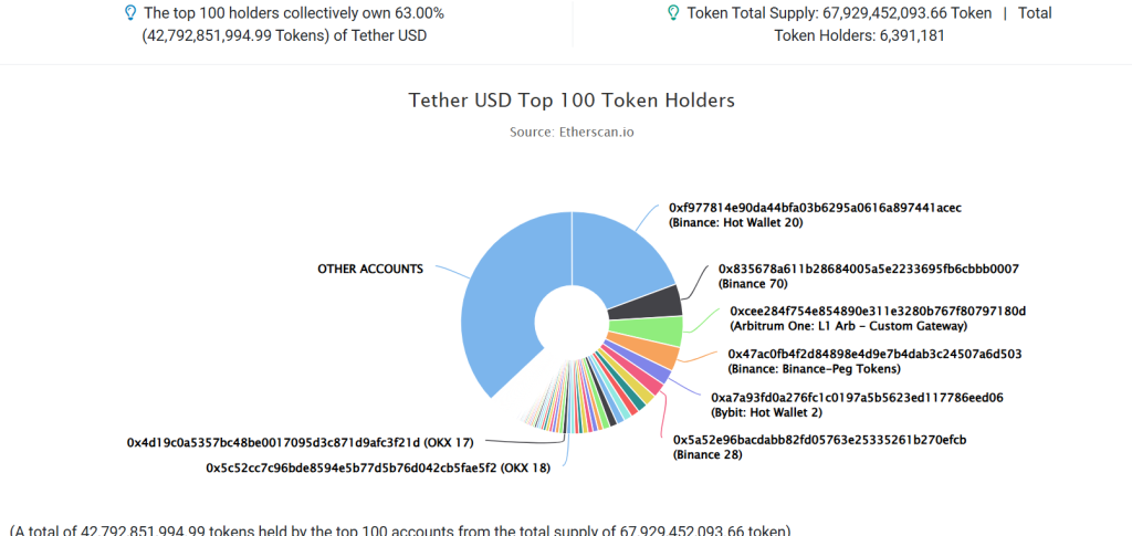 Tether USD Top 100 Token Holders